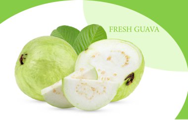 Beyaz ve yeşil arka planda yaprağı olan taze guava meyvesi 