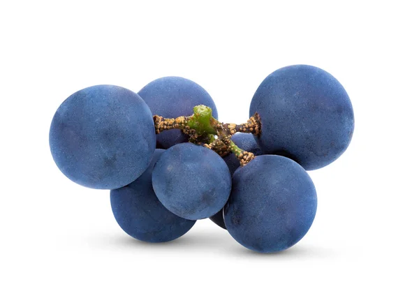 Niebieskie Winogrona Suche Grono Izolowane Białym Tle — Zdjęcie stockowe