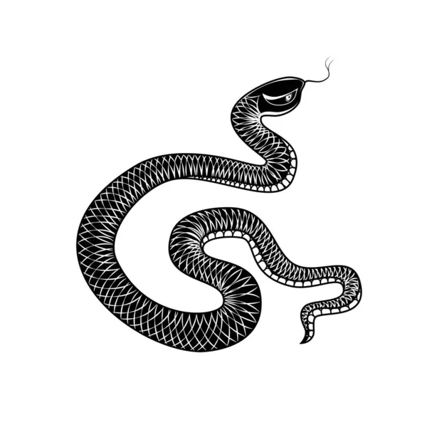 Ручная Змея Монохромная Иллюстрация Графический Винтажный Эскиз Изолированный Объект Белом — стоковый вектор