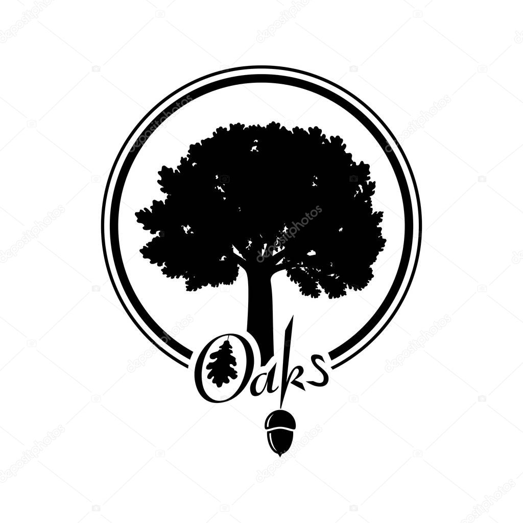 Oak tree silhouette. Illustration of a oak tree silhouette on a white background.