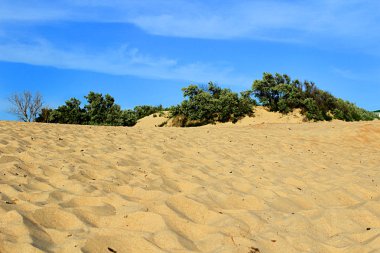 Sahilde kaybolan kumullar