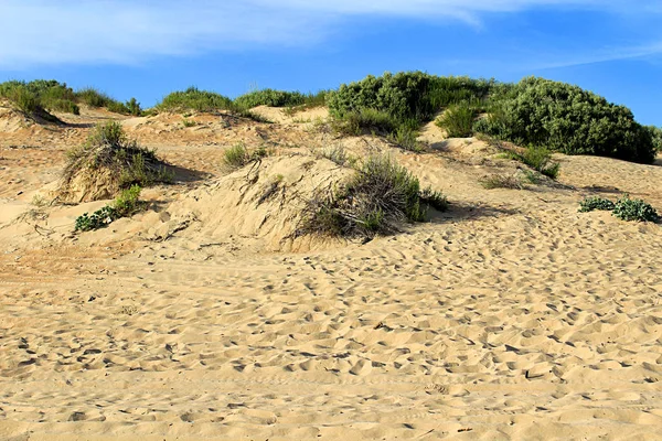 Sahilde kaybolan kumullar