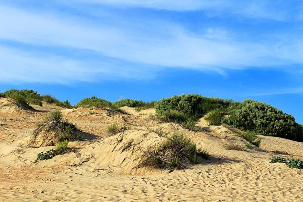 Sahilde kaybolan kumullar