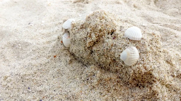 Sand Castle Seashells Beach Rest Spa Copy Space Nature Photo — Stock Photo, Image