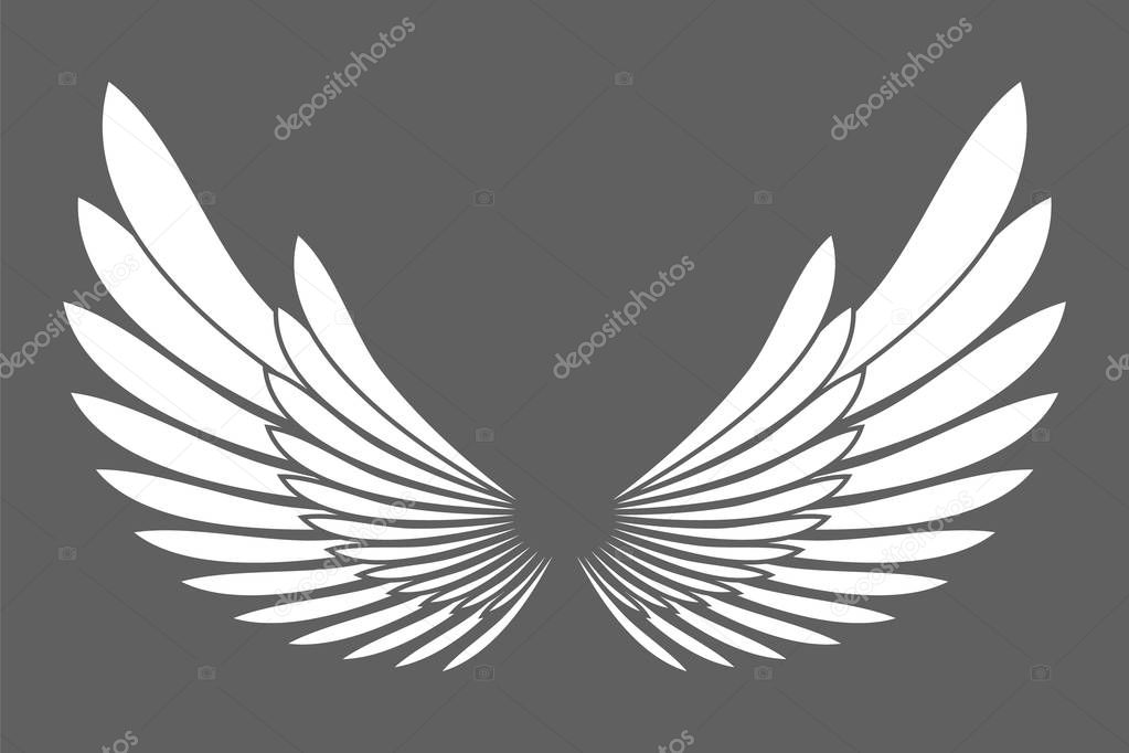 Angel wings white silhouette isolated on background design elements. Vector illustration.