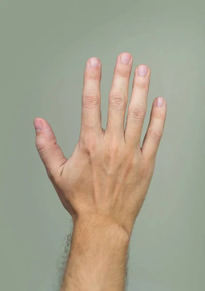 Palma da mão masculina — Fotografia de Stock