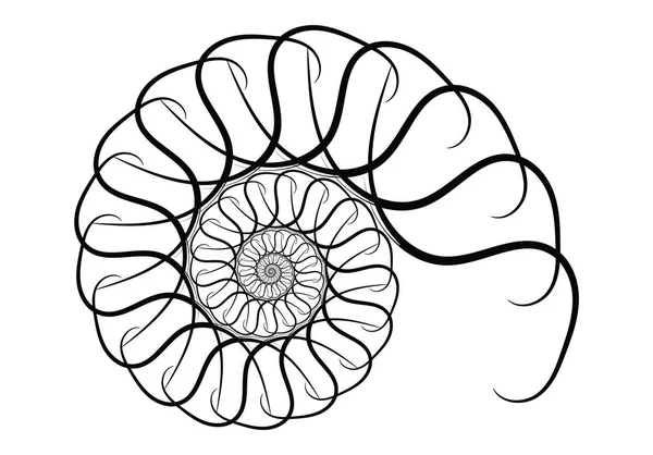 Spiralne elementy konstrukcyjne wektora. Abstrakcyjne linie czarno-białe. S — Wektor stockowy