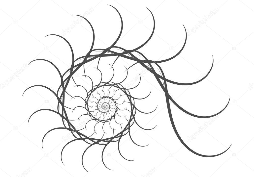 Spiral vector design elements. Abstract lines black and white. Swirl background.
