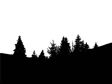 Beyaz arka planda izole edilmiş orman vektörü. Ağaçlar silueti.