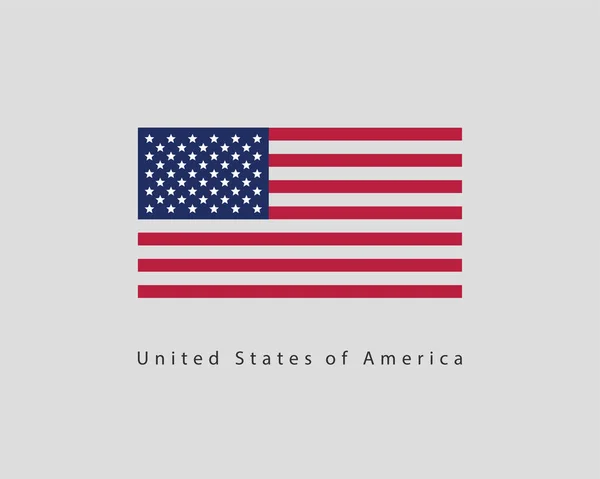 Vettore bandiera USA. Stile moderno Stati Uniti d'America simbolo. A — Vettoriale Stock