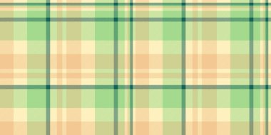 Yumuşak pastel yeşil ve bej desenli. Tekstil tasarımı, web sitesi geçmişi ya da el işi projeleri için mükemmel. Huzur ve sükuneti çağrıştırıyor. Çok yönlü ve zamansız bir tasarım..