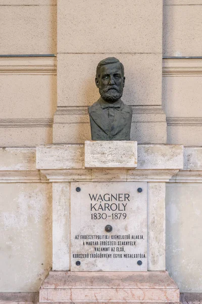 Budapest Hungría Febrero 2020 Busto Bronce Karoly Wagner Muro Piedra — Foto de Stock