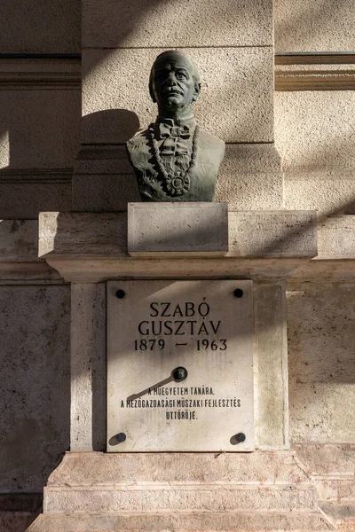 Budapest Hungría Febrero 2020 Busto Bronce Gusztav Szabo Muro Piedra — Foto de Stock