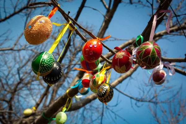 Christliche Feiertage Ostern Bäume Mit Bemalten Eiern Geschmückt Ist Eine — Stockfoto