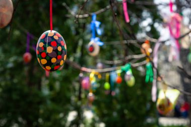 Hıristiyan tatil Paskalya, ağaçlar boyalı yumurta ile dekore edilmiş eski bir gelenektir.