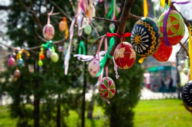 Hıristiyan tatil Paskalya, ağaçlar boyalı yumurta ile dekore edilmiş eski bir gelenektir.