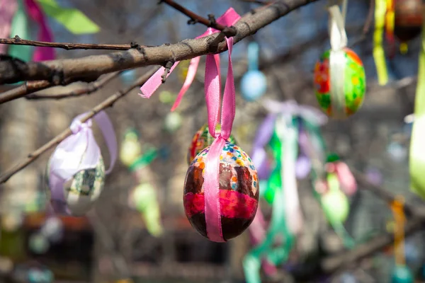 Křesťanský Svátek Velikonoce Stromy Zdobí Malovaná Vajíčka Stará Tradice — Stock fotografie