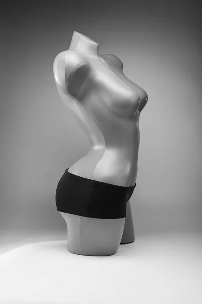 Mannequin Photo Noir Blanc Sous Vêtements Femme Pour Natation Bonne — Photo