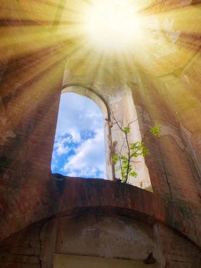Ukrayna'da eski bir katolik kilisesinin yanmış terk edilmiş iç