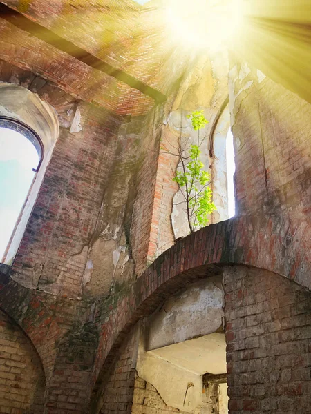 Ukrayna'da eski bir katolik kilisesinin yanmış terk edilmiş iç