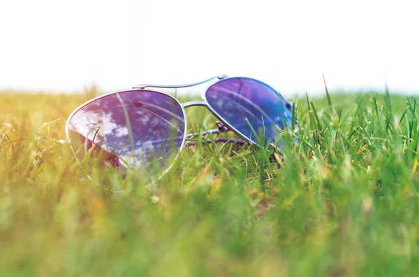 Enfoque suave, gafas de sol en la hierba verde, humor de verano . — Foto de Stock