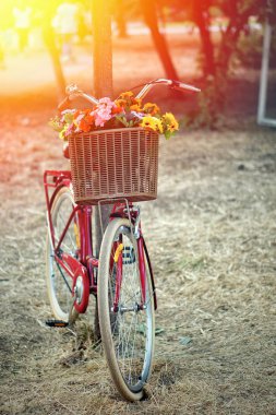 Çiçek sepeti ile bahçede Retro kırmızı bisiklet.