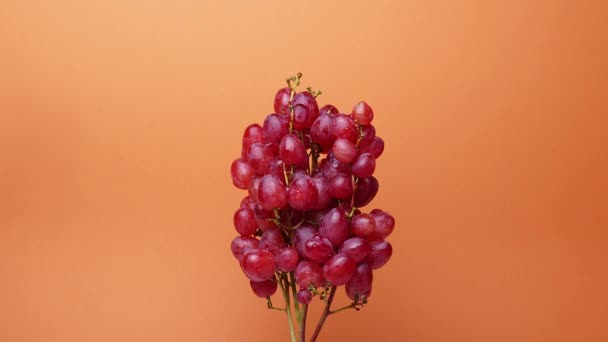 Stop Motion Revers Stop Motion Natural Organic Pink Juicy Grapes — Stock Video