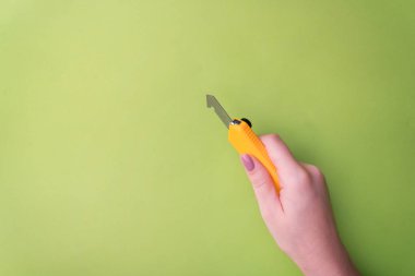 Nazik bir manikür ile moda kadının elini bir araç tutar. Güvenli iş, bir yazıt için yer. Yukarıdan görüntüleyin. Yeşil arka plan, zıt gölge. 