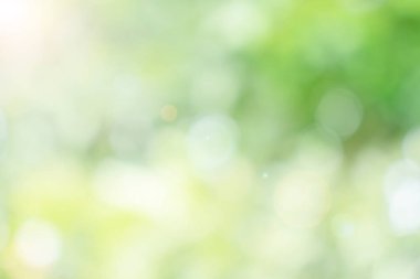 Soyut bulanık defocus doğal yeşil bokeh arkaplan, estetik yaratıcı tasarım için yumuşak doğal bokeh tarzı