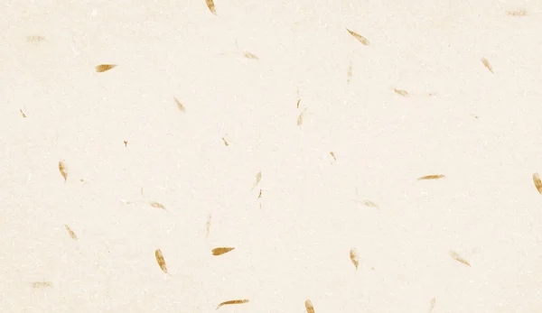 Yaprak desenli soluk sarı dut kağıdı, kağıdın eşsiz tasarımlı el yapımı kağıt, estetik yaratıcı tasarım için yumuşak doğal kağıt tarzı