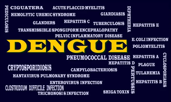 Terminologie Médicale Liée Maladie Dengue Word Présentée Avec Résumé Nuage — Image vectorielle