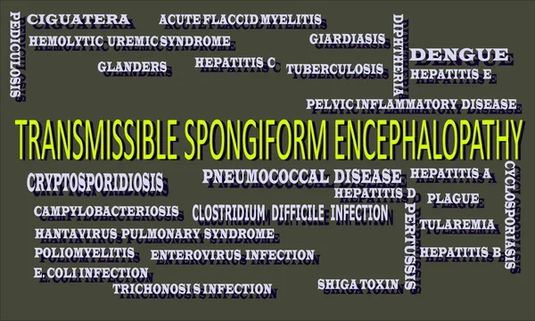 Encephalopathie Spongiforme Transmissible Terminologie Médicale Liée Maladie Santé Mot Présentée — Image vectorielle