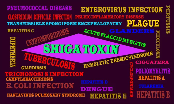 Shiga Toxin Word Terminologie Médicale Liée Aux Maladies Santé Présentée — Image vectorielle