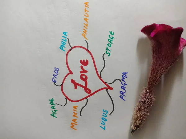 Liebe Wort Terminologie Mehreren Sprachen Präsentiert Auf Bunten Herz Diagramm — Stockfoto