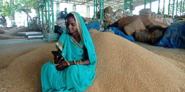 Katni Bölgesi, Madhya Pradesh, Hindistan - 25 Ağustos 2019: Tarım hükümetinde akıllı telefon kullanan Hintli bir köylü kadın çiftçi.