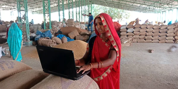 Katni Bölgesi, Madhya Pradesh, Hindistan - 25 Ağustos 2019: Tarım hükümetinde dizüstü bilgisayarda çalışan Hintli bir köylü kadın çiftçi.