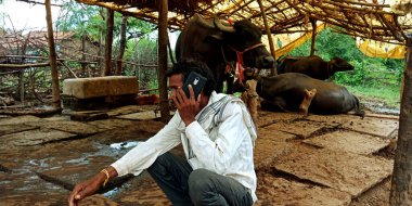 DISTRICT KATNI, INDIA - 20 AĞUSTOS 2019: Asyalıların dijital öğrenimi için cep telefonu konseptini arayan Hintli bir köylü sığır çobanı.