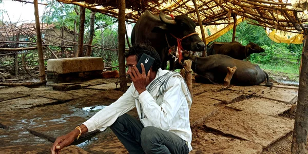 DISTRICT KATNI, INDIA - 20 AĞUSTOS 2019: Asyalıların dijital öğrenimi için cep telefonu konseptini arayan Hintli bir köylü sığır çobanı.