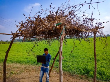 DISTRICT KATNI, INDIA - HAZİRAN 01, 2020: Güzel gökyüzü arka planında yeşil tarım alanı etrafında çalışan Asyalı bir köy çocuğu.