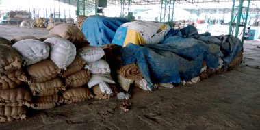 DİSTRİK KATNI, INDIA - Ağustos 03, 2019: Tarım ürünlerinde tam buğday çuvalları depolanması pazar üretimi.