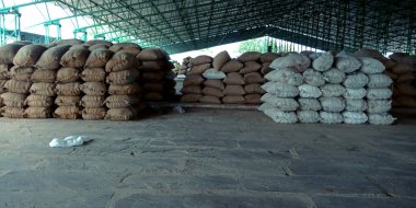 DİSTRİK KATNI, INDIA - Ağustos 03, 2019: Tarım ürünlerinde tam buğday çuvalları depolanması pazar üretimi.