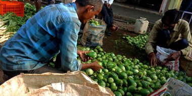 DISTRICT KATNI, INDIA - AĞUSTUSTOS 04, 2019: Asyalı bir adamın en büyük açık hava pazarlarından topladığı taze bir sebze hediyesi geniş bir doğal ürün ve yiyecek çeşitliliği sunuyor.