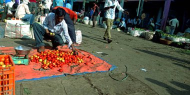 DISTRICT KATNI, INDIA - 04 Ağustos 2019: Asyalı bir adamın en büyük açık hava pazarlarında satması için taze kırmızı domates armağanı geniş bir doğal ürün ve yiyecek çeşitliliği sunuyor.
