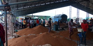 DISTRICT KATNI, INDIA - 07 AĞUSTOS 2019: Hindistan Godwown Gıda şirketinde toplanan ham buğday tohumu tahıl stokları.