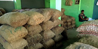 DISTRICT KATNI, INDIA - AĞUSTUSTOS 07, 2019: karnabahar ve caddenin ortasında satılan diğer taze sebzeler Hindistan çiftçilerinin tarım ürünleri pazarı üretiyor.