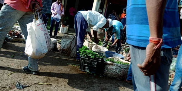 District Katni India August 2019 Fresh Vegetable Present Sell Indian — Stock Photo, Image