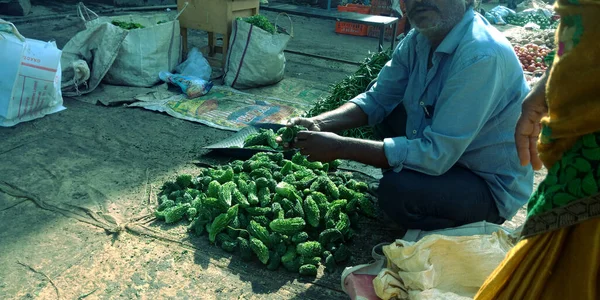 District Katni India August 2019 Fresh Vegetable Slicing Sell Village — Stock Photo, Image