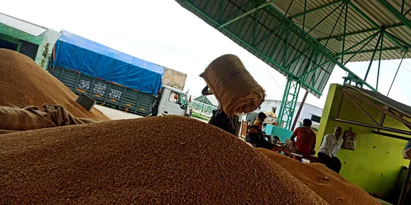 インドのディストリクト カンティ 2019年8月7日 インド政府におけるコムギ種子の巨大な株式の周りで働く農家 農産物の販売のための場所 — ストック写真