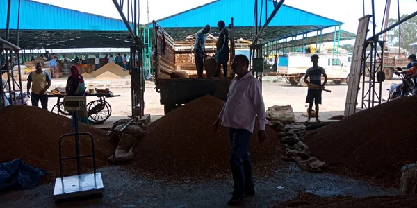 DISTRICT KATNI, INDIA - 07 Ağustos 2019: Asyalı çiftçiler buğday tohumları etrafında yürüyorlar Hindistan hükümetinde muazzam hisse senedi, tarım ürünleri satmak için yer.