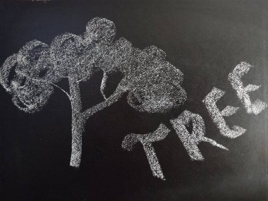 Eğitim amacıyla öğrenme ve farkındalık terminolojisi için kara tahtada çizilmiş diyagram içeren ağaç kelimesi.